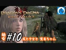 【ドラゴンズドグマ】幼女#10　尻と少女と覚者ちゃん【DDDA】【ならはや】