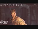 ロドリックもしかして運悪い？#20【A Plague Tale: Innocence】