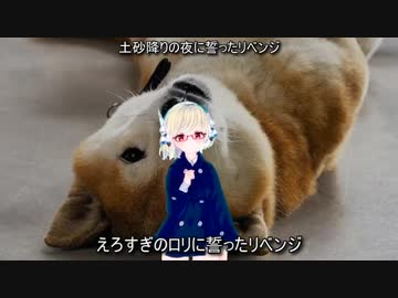 常勝リベンジャーズ