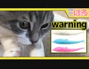 猫に絶対に与えてはいけないおもちゃ クッソ後悔することになるよ【召喚獣はる】