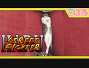 ストリートファイターHARU 俺よりクッソ強い猫に会いに行く【召喚獣はる】