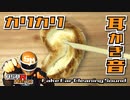 【ASMR】○○の耳を掻いたらなかなか良い音になりました/耳かき音/ Fake Ear Cleaning Sound  /TASCAM DR-07MK2/no talking