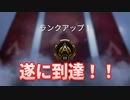 【Apex実況】初心者がハンマーの誘惑に…【ランクマッチ】