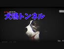 【犬鳴トンネル / Inunaki Tunnel】心霊スポットを駆け抜けたニコニコ動画投稿者、助けを求める。
