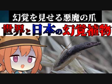 世界と日本の幻覚植物【VOICEROID解説】