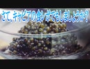 さて、キャビアの食レポでもしましょうか?