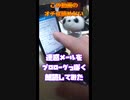 迷惑メールをプロローグっぽく朗読してみた by プーハー
