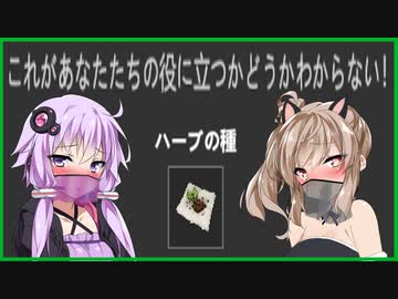 【Undying】母になりました。ついでに感染しました#03【コレがあなたたちの役に立つかどうかわからない！】