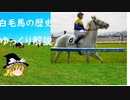 【ゆっくり解説】競馬界で話題の白毛馬をゆっくりざっくり解説