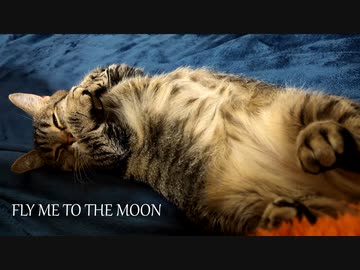 【Shing-a-ling!】FLY ME TO THE MOON【歌ってみた】【本当にいい曲なんだが今回も音はおまけなんだ。是非うちのかわいい猫を見てくれ】