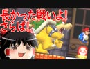 ゆっくり霊夢が征く！DSのNewスーパーマリオブラザーズ Part１６【ゆっくり実況】