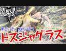 【MHW】ドスジャグラスさん弱すぎてチャージアックスの練習にもならない【モンスターハンターワールド】チャアク修行part2
