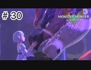 【ゆっくり実況】久しぶりにモンハンで遊ぶ【MHS2】#30