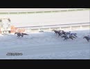 第21回ＪＢＣスプリント レッドルゼル