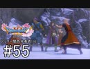 【ドラクエ11S実況】アラサー関西弁勇者(16)　＃５５