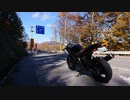 2021 Salvage Touring Report 4