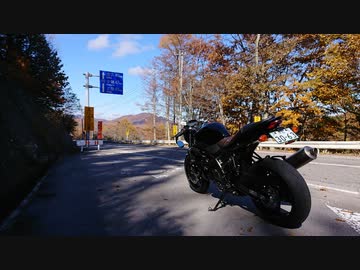 2021 Salvage Touring Report 4