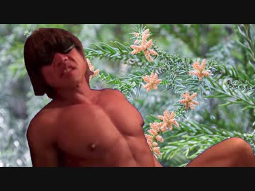 山奥でスギ、ヒノキと張り合ったぜ！投稿者：ビルダー拓也