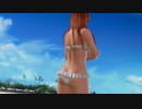 【DoaX3】  イベントパラダイス ランダム/110412