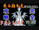 【バイオ８最高難易度・持込無し】ドミトレスク戦【解説プレイ＃５】