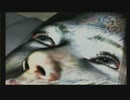 想いが見せる刺青の悪夢「零～刺青の聲～」実況プレイpart3