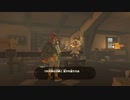 野生の息吹を感じよ【ゼルダの伝説　ブレス オブ ザ ワイルド実況プレイ】part11