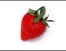 イチゴ