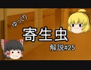 【ゆっくり解説】ゆっくり寄生虫解説#25~自由生活性アメーバ(フォーラーネグレリア)~