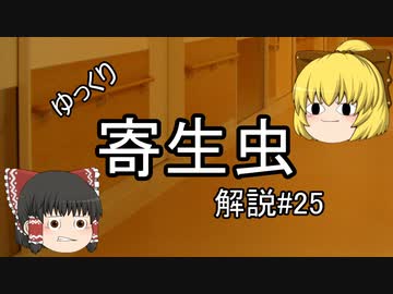 【ゆっくり解説】ゆっくり寄生虫解説#25~自由生活性アメーバ(フォーラーネグレリア)~