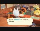 【あつまれ どうぶつの森】フライングアプデによる最後のアプデ内容　その３