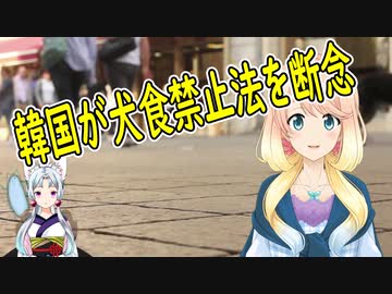 【韓国の反応】韓国が犬肉の食用を法律で規制する事を、犬食禁止法に反対する人が多数で断念！【世界の〇〇にゅーす】