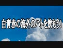 白青赤の海外のハトを飲もう!