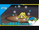 【縛り実況】紳士の愛と色違いⅤ#14【ポケモンBW2】