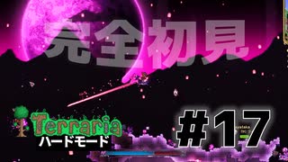 【女性実況】卒論に追われた女子大生たちがハードな世界に逃避する#17【terraria テラリア ハードモード】