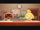 たぬきち、しずえカメラ目線