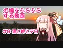 近場をふらふらする動画 #8 狸と岬と夕日