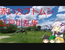 [VOICEROID＋ゆっくり朗読] 江戸川乱歩 赤いカブトムシpart1