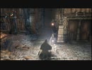 【Bloodborne】初心者は本当にヤーナム市街を抜けられないのか６