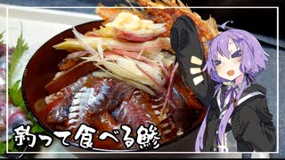 食事処結月亭#28　釣って食べる鯵