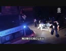 もう生きていけない・忘れ去られた雲南省瑞麗市・PCR100回も虚し