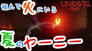 飛んで火にいる夏のヤーニー【UNRAVEL two】