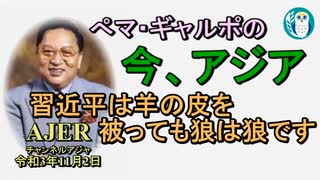 「習近平は羊の皮を被っても狼は狼です」ぺマギャルポ AJER2021.11.5(9)