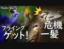 1030B②【危機一髪セキレイ捕食をモズが狙う】ヒヨドリが赤い実食べられる？ノイバラ。カラスとカルガモ求愛ダンス。渡り鳥のマガモとヒドリガモ、コガモ。　#身近な生き物語　#ヒヨドリ　#ハクセキレイ