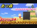 あつまれどうぶつの森　家の収納の出し入れが外でもできるようにする方法とは？　ものおきの入手方法は？　最新アプデ情報【あつ森】