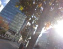 2021/11/5(金) 反日カルト、集団ストーカー組織共謀犯罪周知 札幌ゲリラ街宣-③