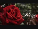 【1時間耐久BGM】悲しみに寄り添うゴシック調のピアノソロ「Rose」