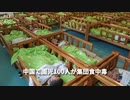 ▼中国株式市場で中国中免がストップ安 ▼中国で園児100人が集団食中毒 ▼中国大手不動産、3分の2が規制に違反 ▼米とインドネシアが首脳会談 ▼日本観光局がドバイとメキシコに事務所を設置