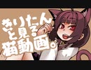 きりたんと見る猫動画。