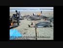 2012.03.11「The truth of 311 seismic terror By Richard Koshimizu」