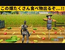 【小技集】食べ物がバグってるチート畑知ってますか？シーズン８最強バグ小技裏技集！【FORTNITE/フォートナイト】